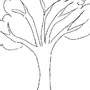 Психологический тест нарисовать кактус
