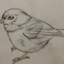 Птица В Полете Рисунок