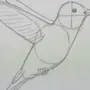 Нарисовать Птицу