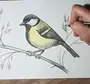 Нарисовать птицу
