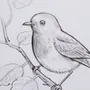 Птица на ветке рисунок