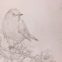 Птица На Ветке Рисунок