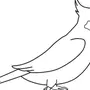 Птичка На Ветке Рисунок Для Детей