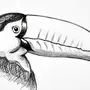 Птица феникс рисунок