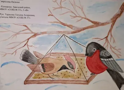 Птицы родного края рисунки