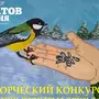 Птицы наши друзья рисунки