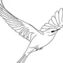 Летящая птица рисунок
