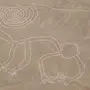 Пустыня С Рисунками В Перу 5 Букв