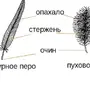 Прически карандашом