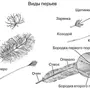 Прически Карандашом