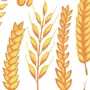 Как нарисовать пшеницу