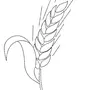 Как Нарисовать Пшеницу