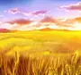 Пшеничное поле рисунок