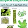 Разные прикольные рисунки