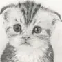 Котенок рисунок карандашом