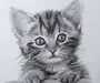 Котенок рисунок карандашом