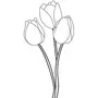 Рисовать Тюльпаны Карандашом