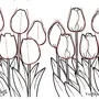 Рисовать тюльпаны карандашом