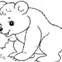 Рисунки животных карандашом для детей