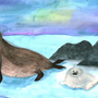 Морской Котик Рисунок