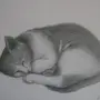 Рисунки серым карандашом