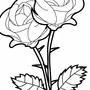 Маленькая роза рисунок
