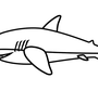 Рисунок Акулы Карандашом Для Детей