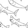 Рисунок акулы карандашом для детей
