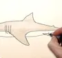 Акула рисунок