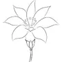 Рисунок аленький цветочек