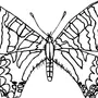 Рисунок бабочек распечатать