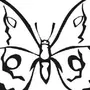 Бабочка Рисунок Трафарет