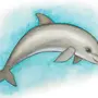 Рисунок Дельфина В Море