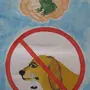 Рисунок Защита Животных