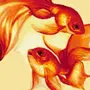 Золотая Рыбка Рисунок