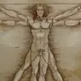 Леонардо да винчи рисунок человека в круге