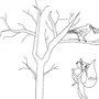 Рисунок К Басне Ворона И Лисица