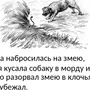 Рисунок к рассказу гадюка ушинского