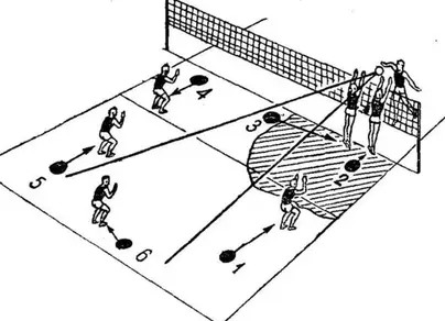 Волейбольная площадка рисунок