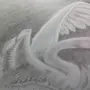 Лебедушка Есенин Рисунок