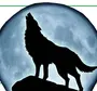 Волк воет на луну рисунок