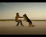 Рисунок к фильму пальма про собаку