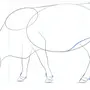 Морда Коровы Рисунок