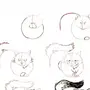 Как нарисовать мультяшного кота