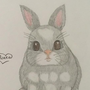 Рисунок Кролика Для Срисовки