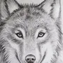 Нарисовать волка карандашом легко