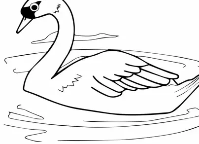 Как нарисовать лебедя