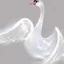 Лебедь Шипун Рисунок