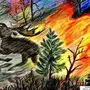 Рисунок лесные пожары