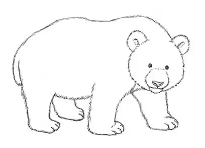 Как нарисовать медведя 2 класс